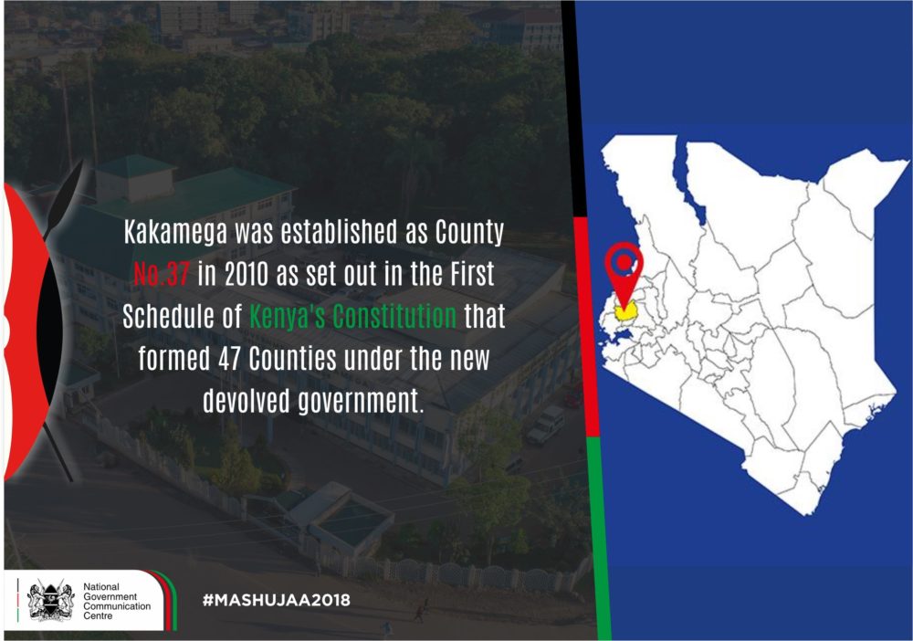 Read more about the article 2019 KCPE top candidates and schools in Homa Bay County