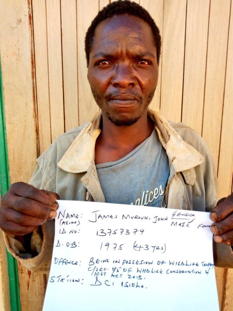Read more about the article Poaching suspect arrested