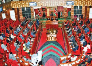 Kenyan Senate in Session