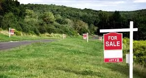 A piece of Land put up for sale in Kenya