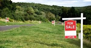 A piece of Land put up for sale in Kenya