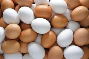 A collection of plastic eggs nabbed in Mumbai. (Image Courtesy)