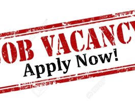 Available Job vacancies in Kenya.