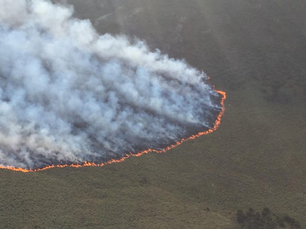 Read more about the article Mt. Kenya Fire Situation as at 02/03/2019