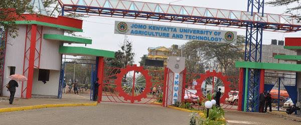 JKUAT Students Emerge Top in Microsoft Mentorship Programme