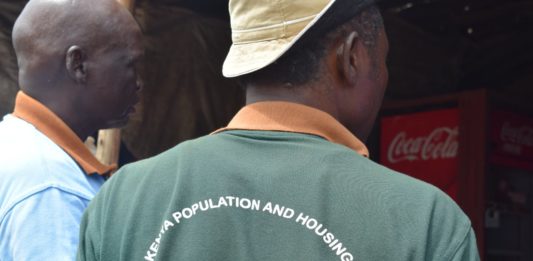 A 2019 Kenya Population and Housing Census data clerk. This year's Census was conducted between August 24th and 31st.