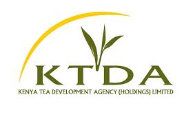 2019 KTDA Farmers’ Tea Bonus payments: This is what farmers are to get and reasons behind the low pay