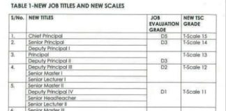 TSC new job groups, grades and titles for teachers