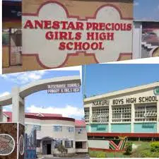 List of Sub County Secondary Schools in Nakuru County; School KNEC Code, Type, Cluster, and Category List of Sub County Secondary Schools in Nakuru County; School KNEC Code, Type, Cluster, and Category