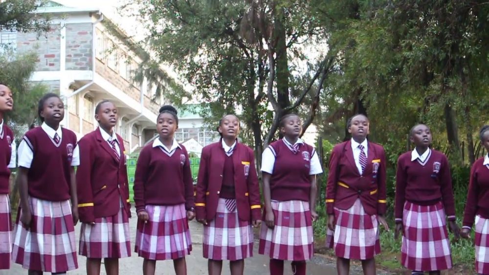 Sub County Schools,County Schools,Extra County Schools, Education, National Schools, Extra County School Fees, Education in Kenya, Education Ministry,NEMIS,Form one Selection,