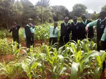 Matungulu boys high school Matungulu boys high school