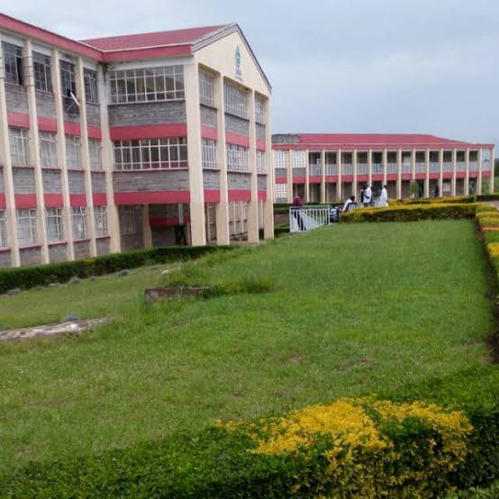 Rift valley institute of science and technology Courses, Requirements, Contacts, Location, How to apply, fees and website