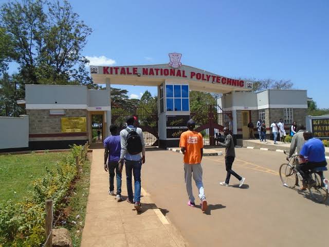 Kitale National polytechnic courses, requirements,contacts, location,how to apply,fees and website