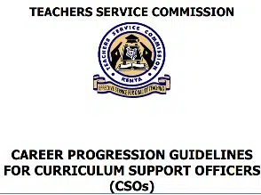 Career Guidelines For Curriculum Support Officers.