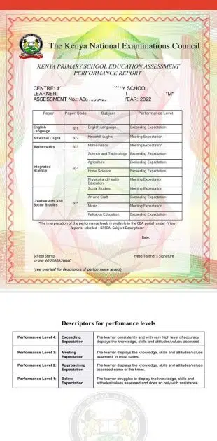 Knec KPSEA Grade 6 CBC Exams Result Slip