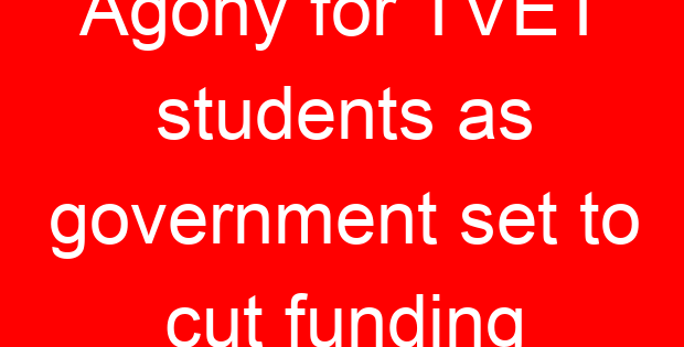 Agony for TVET students as government set to cut funding