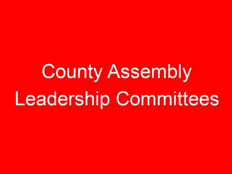 Read more about the article County Assembly Leadership Committees