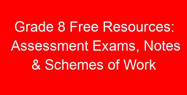 Grade 8 Free Resources: Assessment Exams, Notes & Schemes of Work