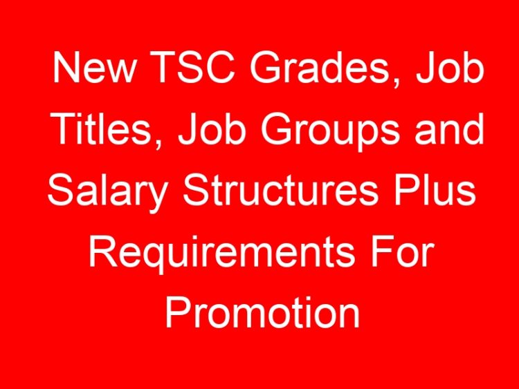 Read more about the article New TSC Grades, Job Titles, Job Groups and Salary Structures Plus Requirements For Promotion