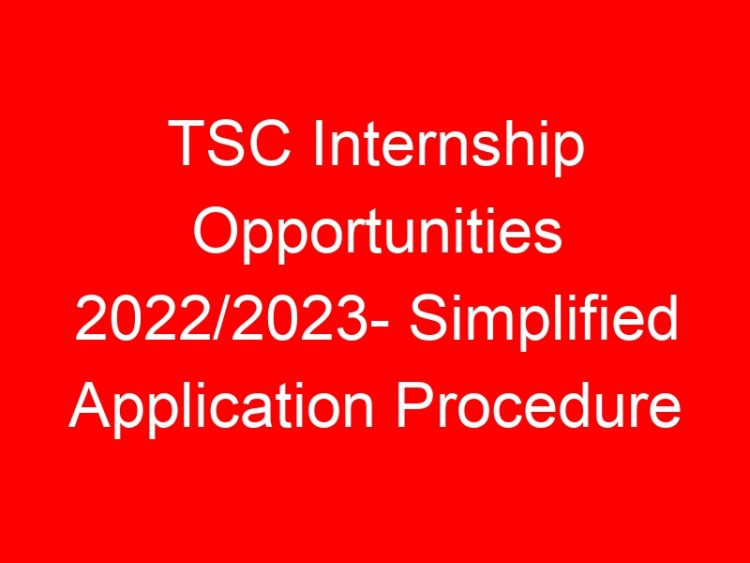 Read more about the article TSC Internship Opportunities 2022/2023- Simplified Application Procedure