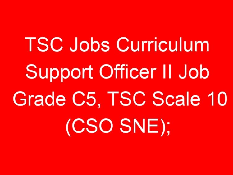 Read more about the article TSC Jobs Curriculum Support Officer II Job Grade C5, TSC Scale 10 (CSO SNE);