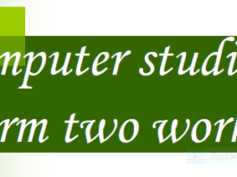 Computer Studies form 2 work