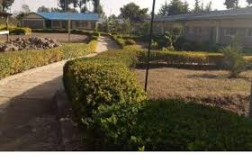 Aberdare Teachers' Training College (TTC): Courses, Location, Fees, Contacts