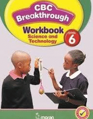 Get free Grade Six (Grade 6) Schemes of Work, Notes, Revision Materials, Exams, Past Papers , Lesson Plans and Lesson Notes