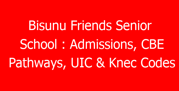Binyenya Girls Senior School : Admissions, CBE Pathways, UIC & Knec ...