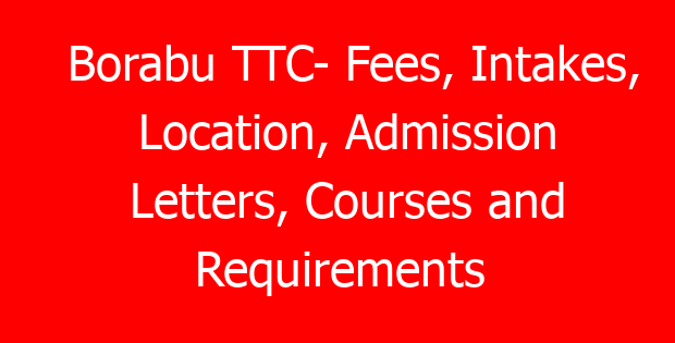 Borabu TTC- Fees, Intakes, Location, Admission Letters, Courses and Requirements