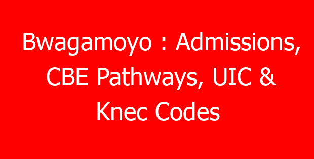 Bwagamoyo : Admissions, CBE Pathways, UIC & Knec Codes