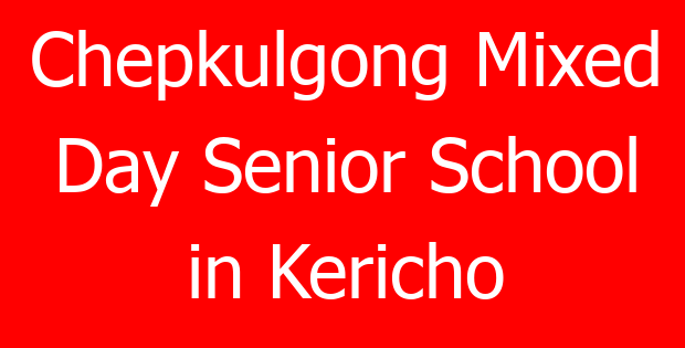Chepkulgong Mixed Day Senior School in Kericho