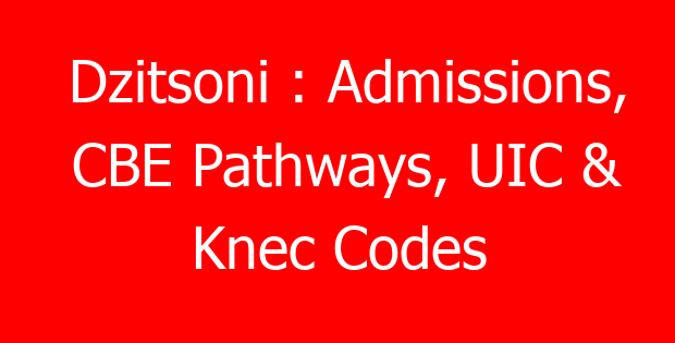Dzitsoni : Admissions, CBE Pathways, UIC & Knec Codes