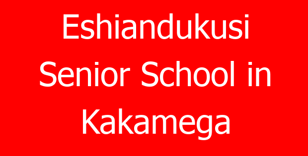 Eshiandukusi Senior School in Kakamega