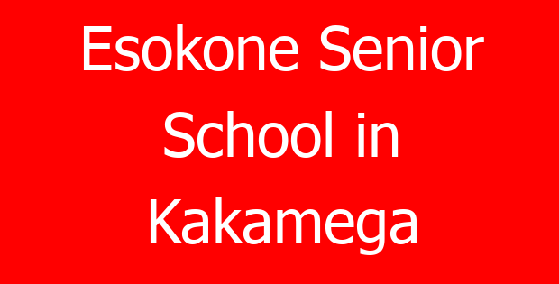 Esokone Senior School in Kakamega