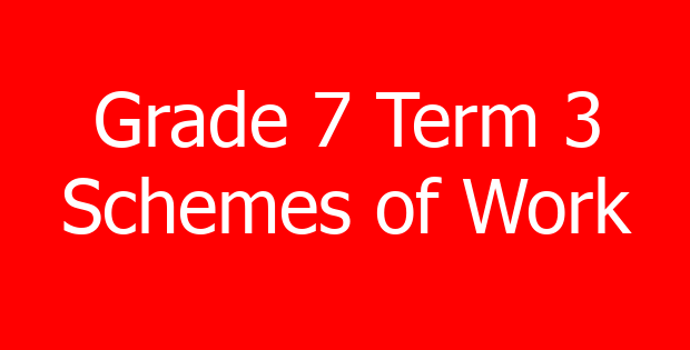 Grade 7 Term 3 Schemes of Work
