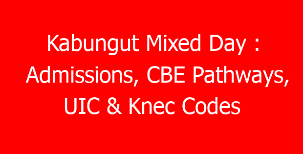 Kabungut Mixed Day : Admissions, CBE Pathways, UIC & Knec Codes