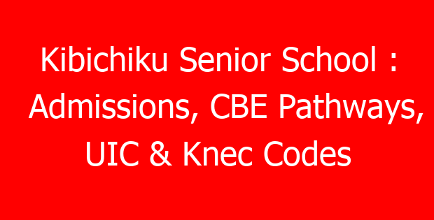 Kibichiku Senior School : Admissions, CBE Pathways, UIC & Knec Codes