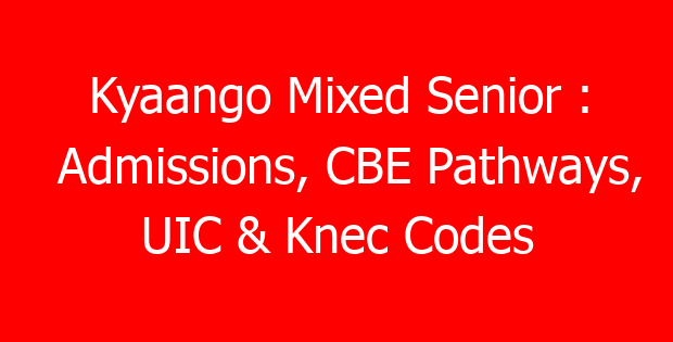 Kyaango Mixed Senior : Admissions, CBE Pathways, UIC & Knec Codes