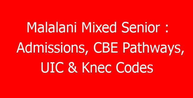 Malalani Mixed Senior : Admissions, CBE Pathways, UIC & Knec Codes