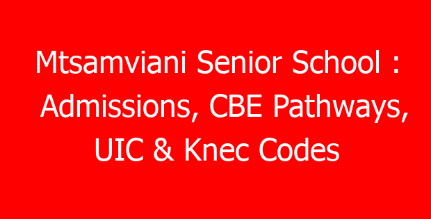 Mtsamviani Senior School : Admissions, CBE Pathways, UIC & Knec Codes