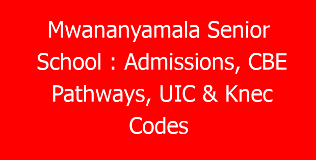 Mwananyamala Senior School : Admissions, CBE Pathways, UIC & Knec Codes