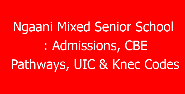 Ngaani Mixed Senior School : Admissions, CBE Pathways, UIC & Knec Codes