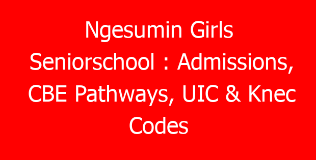 Ngesumin Girls Seniorschool : Admissions, CBE Pathways, UIC & Knec Codes
