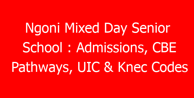 Ngoni Mixed Day Senior School : Admissions, CBE Pathways, UIC & Knec Codes