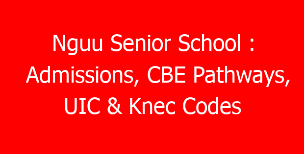 Nguu Senior School : Admissions, CBE Pathways, UIC & Knec Codes