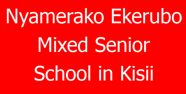 Nyamerako Ekerubo Mixed Senior School in Kisii