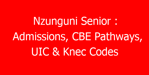 Nzunguni Senior : Admissions, CBE Pathways, UIC & Knec Codes