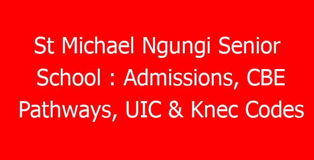 St Michael Ngungi Senior School : Admissions, CBE Pathways, UIC & Knec Codes