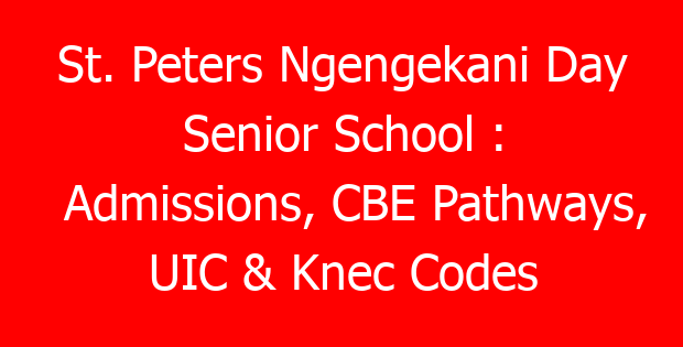 St. Peters Ngengekani Day Senior School : Admissions, CBE Pathways, UIC & Knec Codes